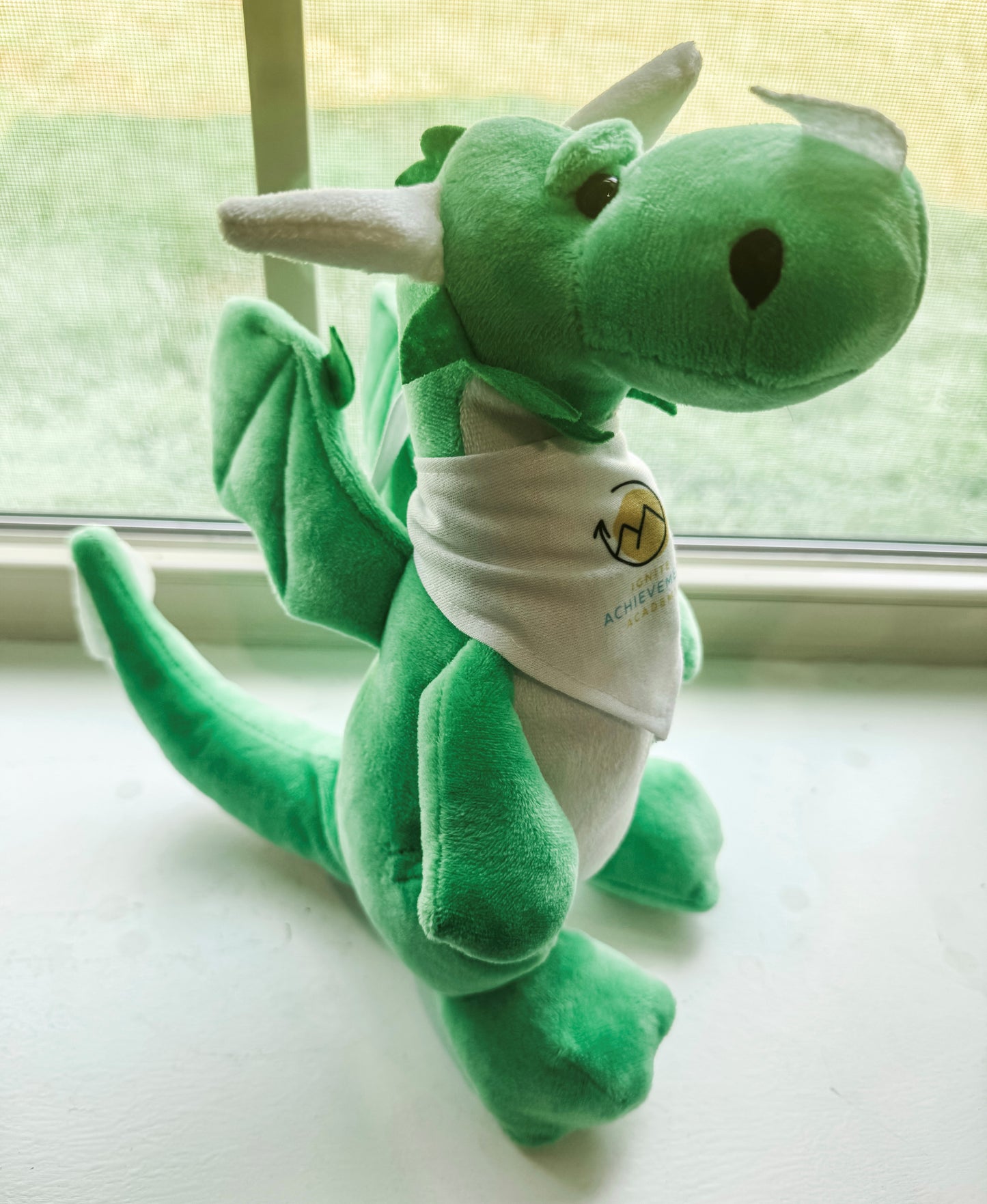 IAA 10" Dragon Mascot